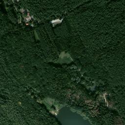 Satelita