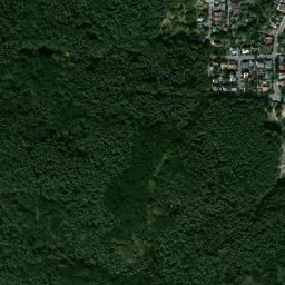 Satelita