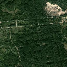 Satelita