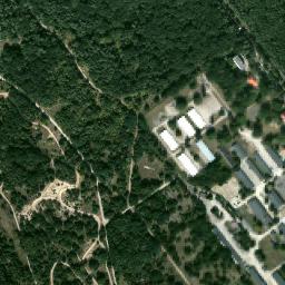 Satelita