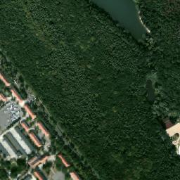 Satelita