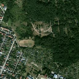 Satelita