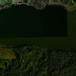 Satelita