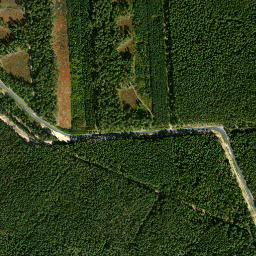 Satelita