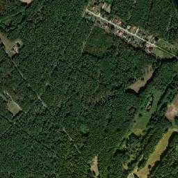 Satelita