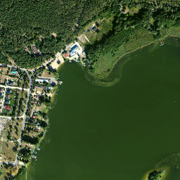 Satelita