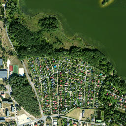 Satelita
