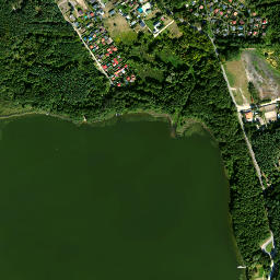 Satelita