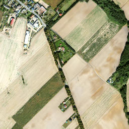 Satelita