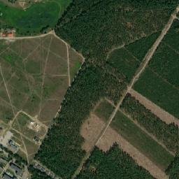 Satelita