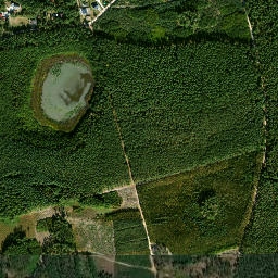 Satelita