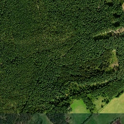 Satelita