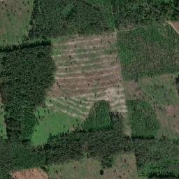 Uzdzyenski Rayon map(satellite map)