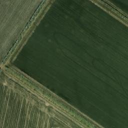 Shelabolikhinskiy Rayon map(satellite map)