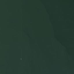Satelita
