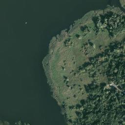 Satelita