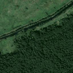 Satelita