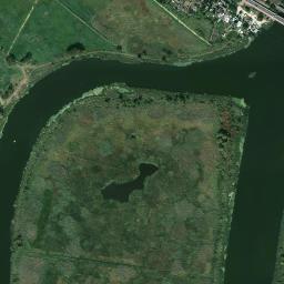 Satelita