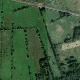 Satelita