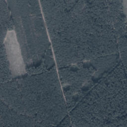 Satelita