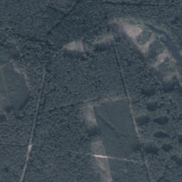 Satelita