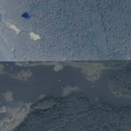 Satelita