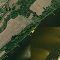 Satelita