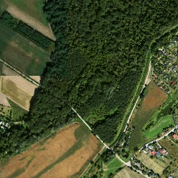 Satelita