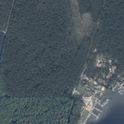 Satelita