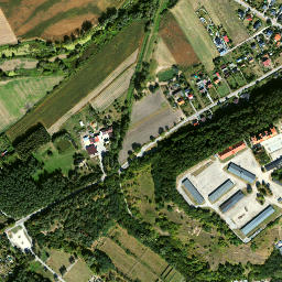 Satelita