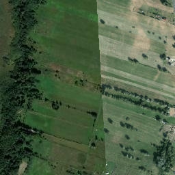 Satelita