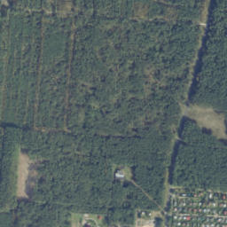 Satelita