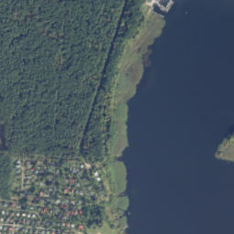 Satelita