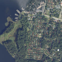 Satelita