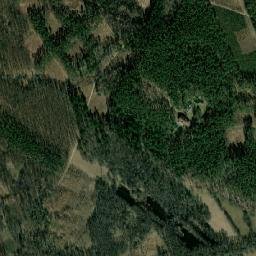 Satelita