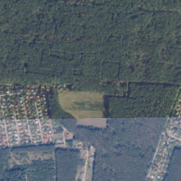 Satelita