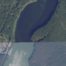 Satelita