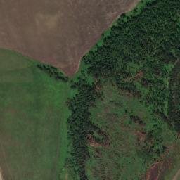 Alarskiy Rayon map(satellite map)