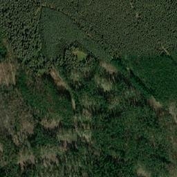 Satelita