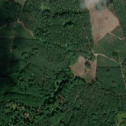 Satelita