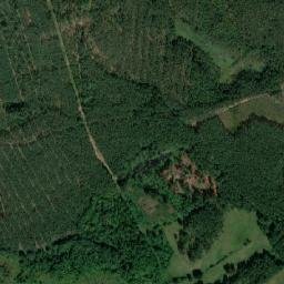 Satelita