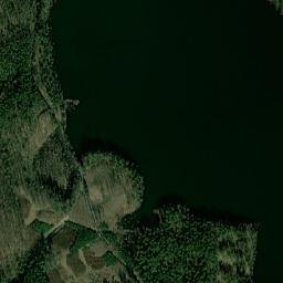 Satelita