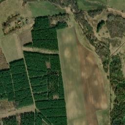 Powiat działdowski map(satellite map)