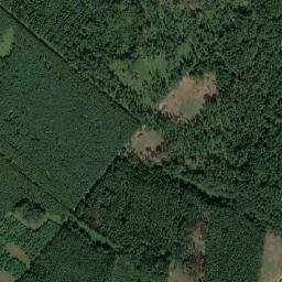Satelita