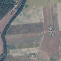 Satelita