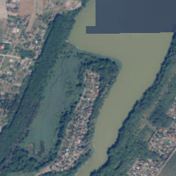 Satelita