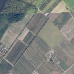 Satelita