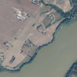 Satelita