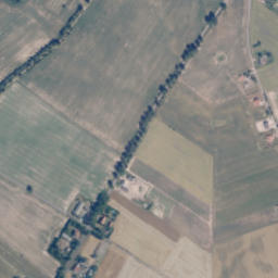 Satelita