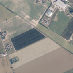 Satelita